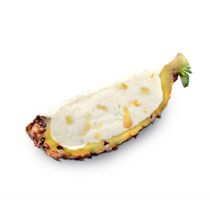 5 dessert anannas glace in schale neu